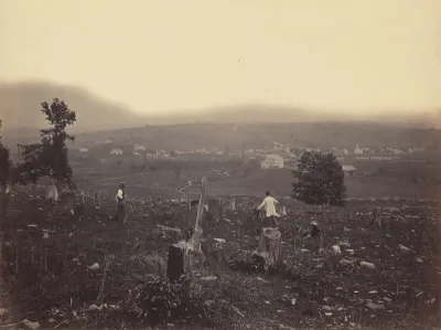 Waymart, Del. & Hudson Canal Co.