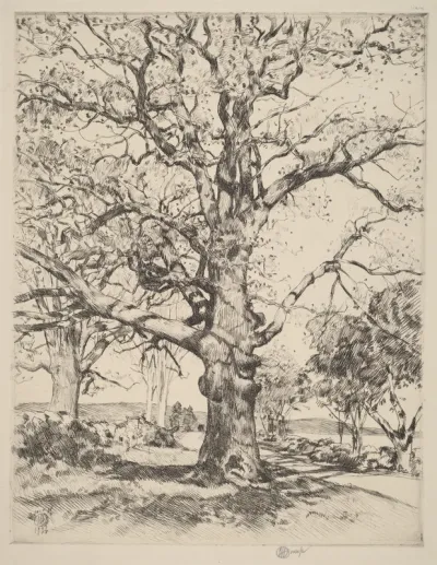 Wayside Inn—Oaks in Spring