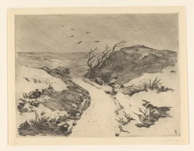 Weg door besneeuwd duinlandschap