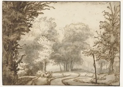 Weg door het bos