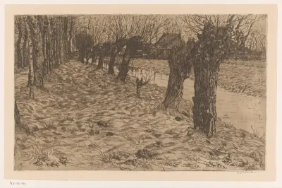 Weg en wilgen langs een sloot