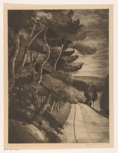 Weg langs bosrand