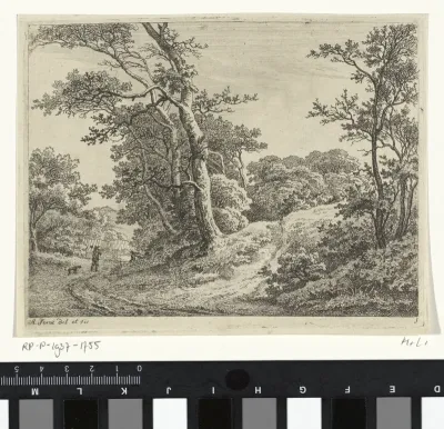 Weg langs een met bomen begroeide heuvel