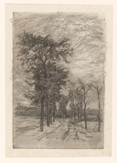 Weg tussen bomen
