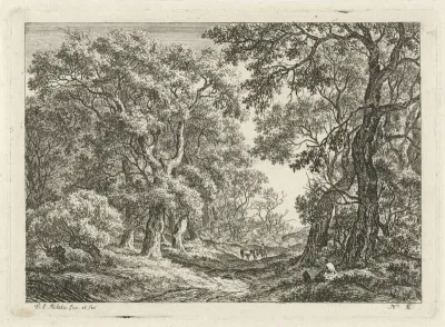 Weg tussen de bomen