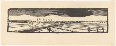 Weg tussen weilanden