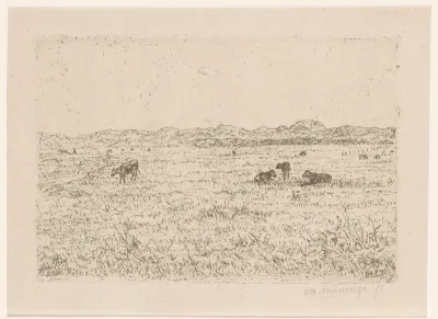 Wei met runderen bij de duinen