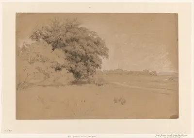 Weide met bomen, bij Ommen