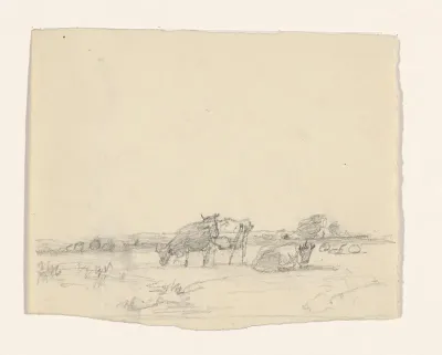 Weidelandschap met grazende koeien