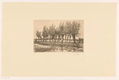 Weidelandschap met knotwilgen