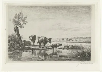 Weidelandschap met koeien bij water