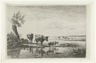 Weidelandschap met koeien bij water