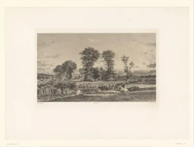 Weids landschap met paarden