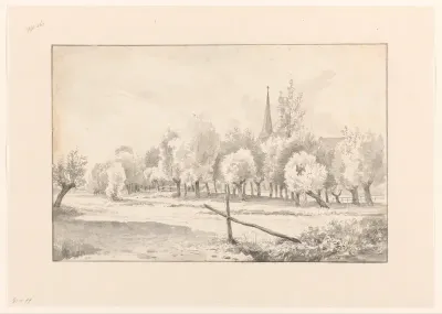 Weiland met knotwilgen en op de achtergrond een kerktoren
