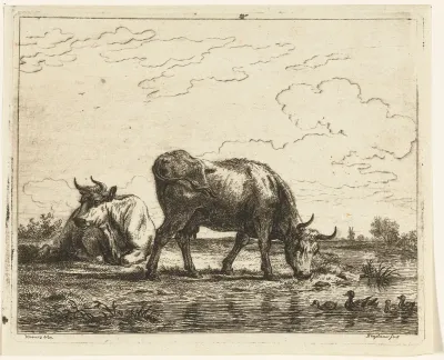 Weiland met twee koeien bij een sloot met eenden