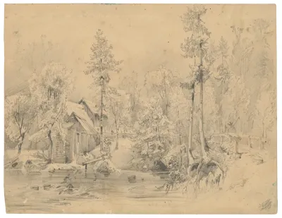 Weir in a Forest