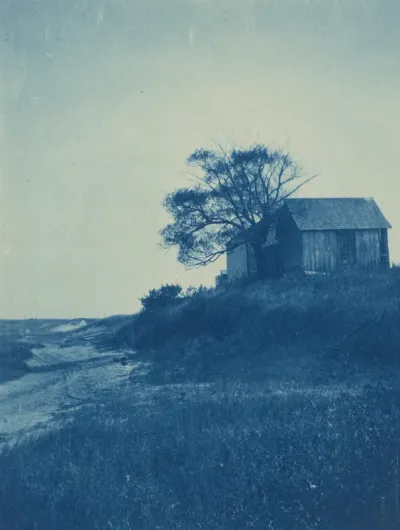 Wellfleet, Cape Cod