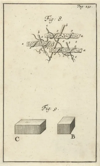 Werking van zuur op het bloed, fig. 8 en 9