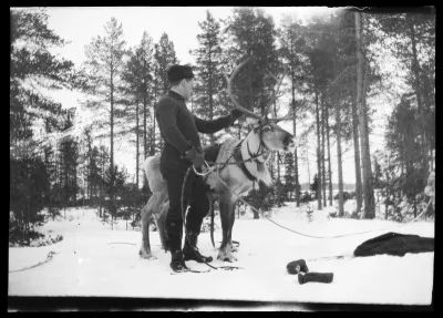 Werner Åström ja poro