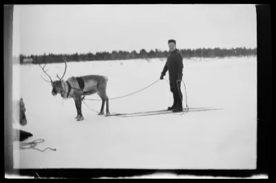 Werner Åström suksilla ja poro