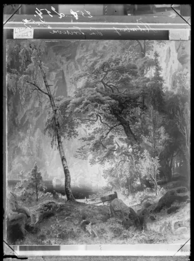 Werner Holmberg: "Aihe Torisevalta (Aihe Torisevan järveltä virroilta)" vuodelta 1859