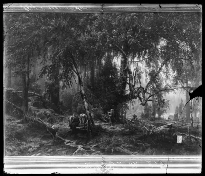 Werner Holmberg: "Metsä sadeilmalla" vuodelta 1859