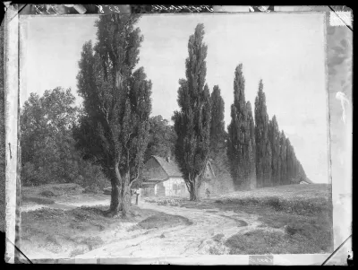 Werner Holmberg: "Poppelikuja" vuodelta 1857