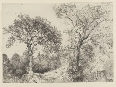 West End Fields, Hampstead