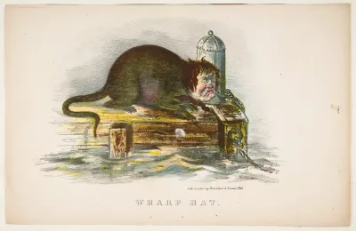 Wharf Rat, from "The Comic Natural History of the Human Race"
