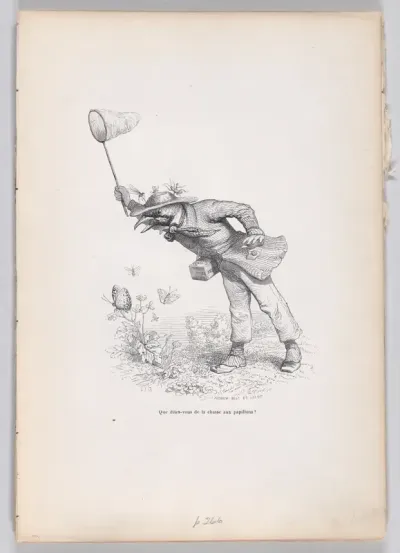 What do you say about the butterfly hunt?, from "Scenes from the Private and Public Life of Animals"