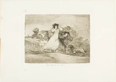 What is this Hubbub?, plate 65 from The Disasters of War