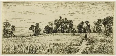 Wheat Field