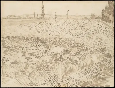 Wheat Field