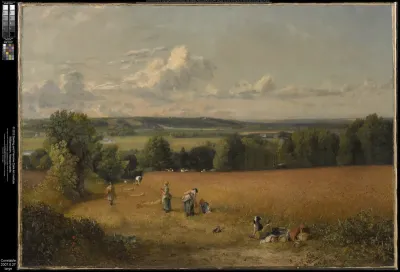 Wheat Field