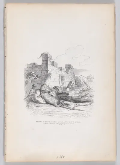 When he was sleeping in the sun..., from "Scenes from the Private and Public Life of Animals"