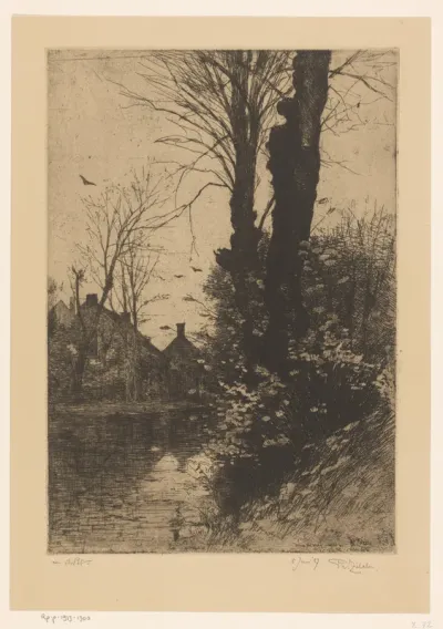 Where the wren nestles