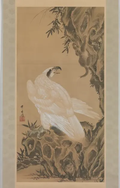 White Eagle Eyeing a Mountain Lion