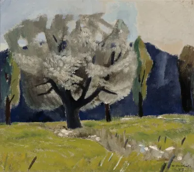White poplar