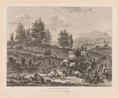 Wijnoogst in een landschap
