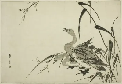 Wild Geese and Reeds