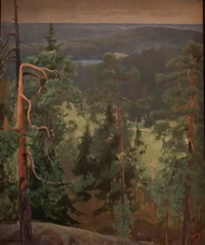 Wild Landscape in Summer