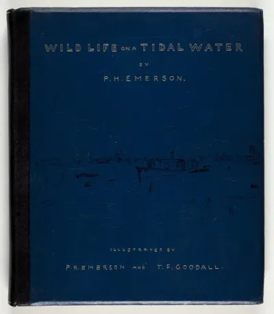 Wild Life on a Tidal Water: The Adventures of a House-Boat and Her Crew