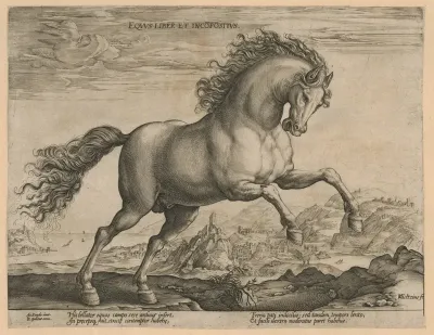 Wild paard