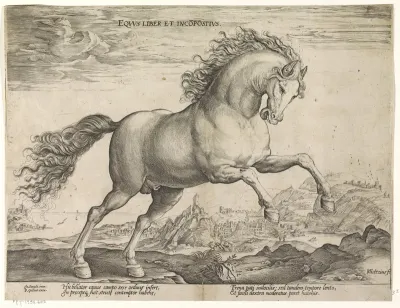Wild paard