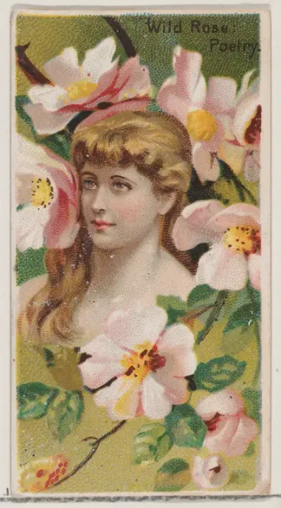 Wild Rose: Poetry, from the series Floral Beauties and Language of Flowers (N75) for Duke brand cigarettes