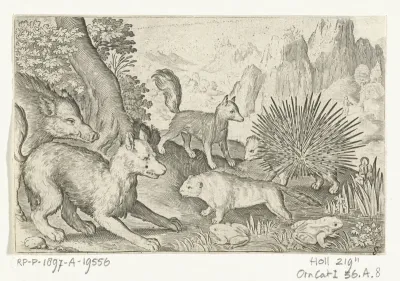 Wild zwijn, vossen, bever, stekelvarken en kikkers