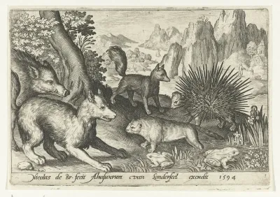 Wild zwijn, vossen, bever, stekelvarken en kikkers