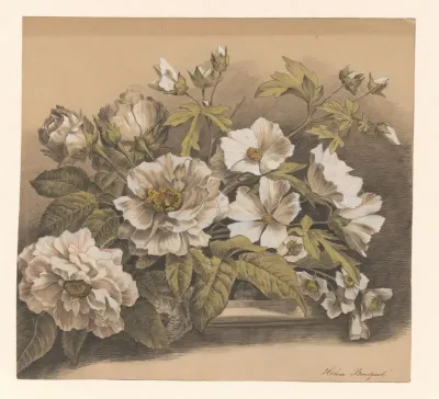 Wilde rozen