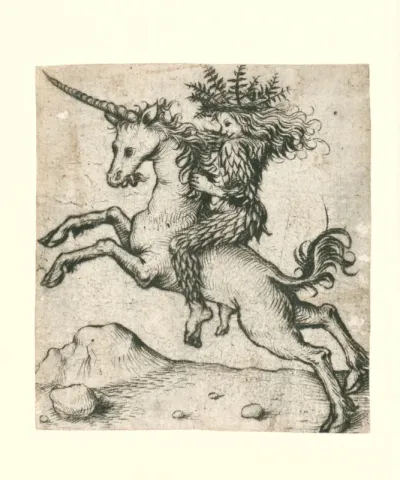 Wildeman op een eenhoorn