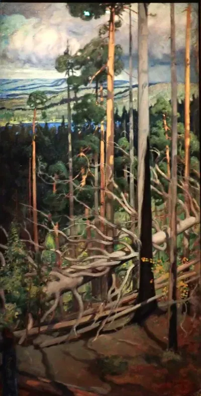 Wilderness